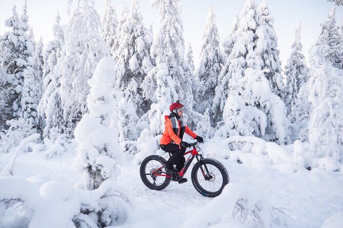 Private Electric Fat Bike Winter Tour in Rovaniemi - Who Will Love This Tour?