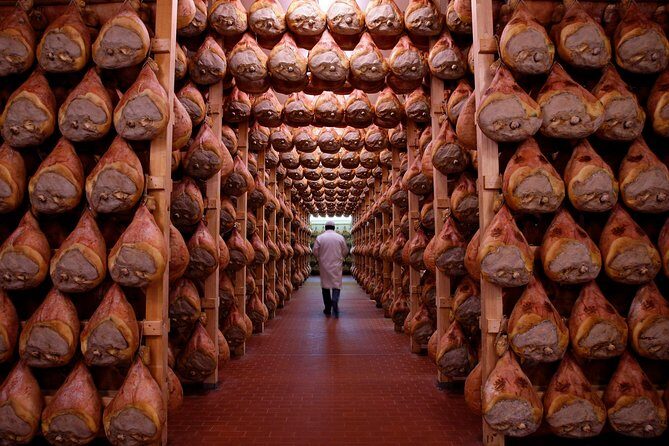 Private Emilia Romagna Food Tour Half Day - A Detailed Look at What You Can Expect