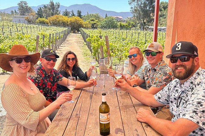 Private Ensenada Tacos and Wine Tour - Who Should Consider This Tour?
