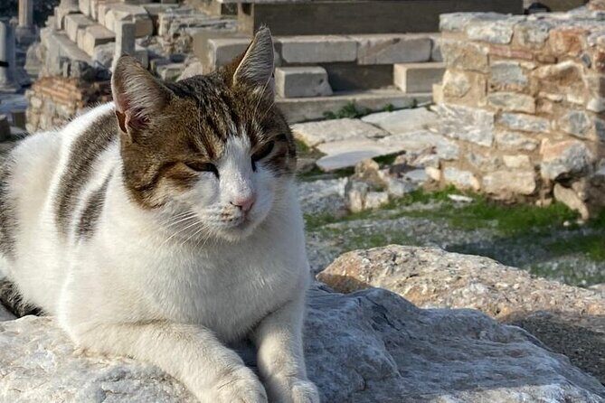 Private Ephesus and Artemis Temple Half Day Tour / On Time Return - FAQs