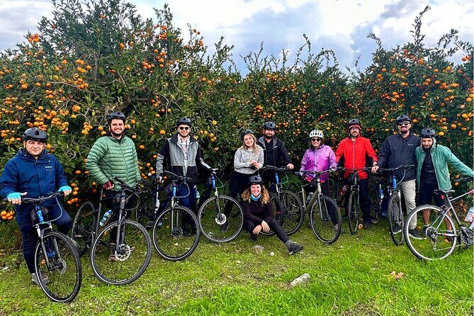 Private Ephesus Tour & Cycling Through Vineyards - A Complete Look at the Tour Experience