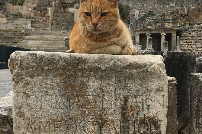 Private Ephesus Tour from zmir Çeme Port and Hotels - A Closer Look at the Tour Itinerary and What to Expect