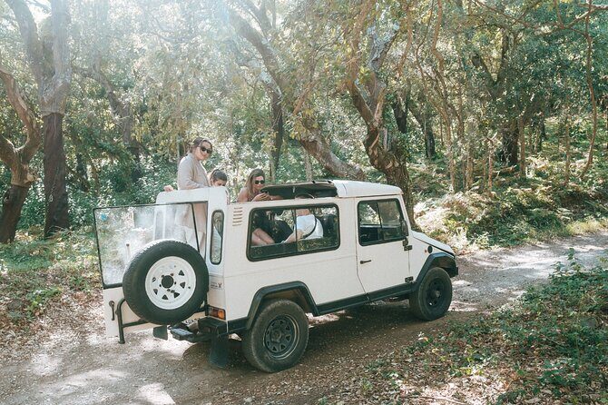 Private Epic Off-Road Adrenaline in Sintra - What the Reviews Say