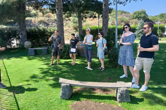 Private Etna tour with lunch in traditional "Trattoria" with organic food - The Practicalities and What to Expect