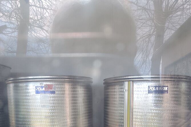 Private Etna tour with wine tasting and lunch - Who Should Consider This Tour?