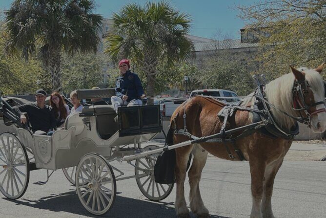 Private Evening Carriage Tour Charleston - Palmetto Carriage - Who Will Love This Tour?