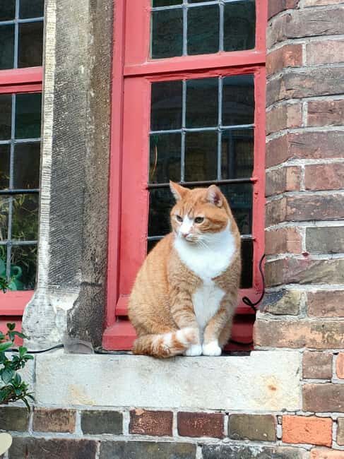 Private event: Bruges with a local! - FAQ