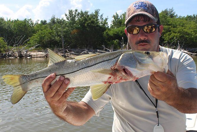 Private Everglades Inshore Fishing Charter in Chokoloskee - Real Traveler Feedback: What People Are Saying