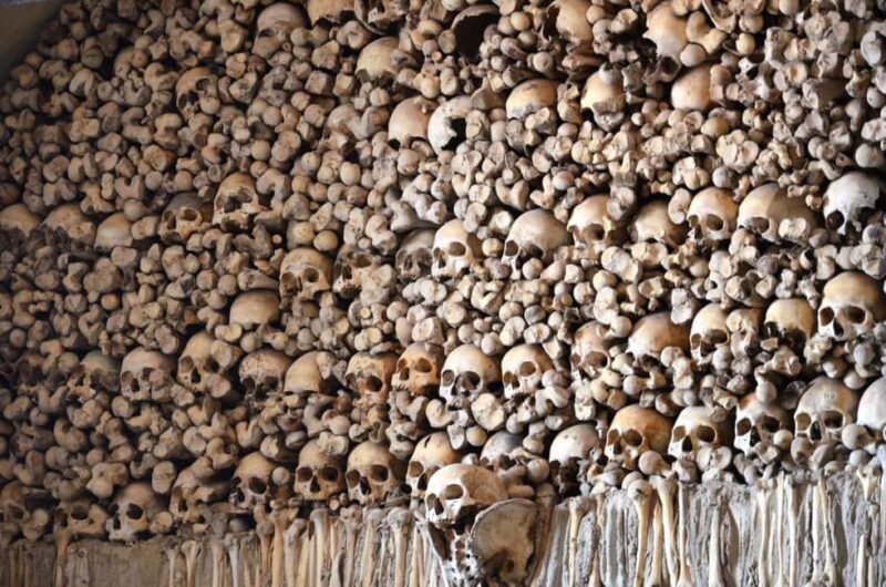 Private Évora Tour: Megaliths, Historic Center & Cork Region - A Closer Look at the Évora Private Tour