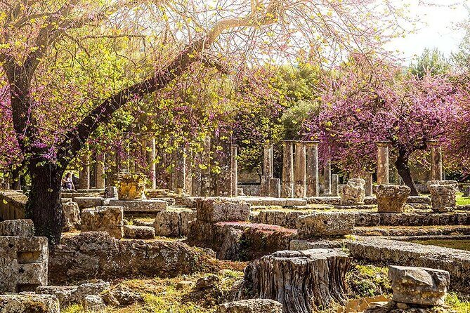 Private Excursion to Ancient Olympia - bee farm & winery - What to Expect from the Tour Itinerary