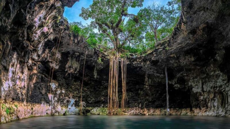 Private Excursion to Cenote Santa Barbara Homun with Transportation - An Overview of the Tour