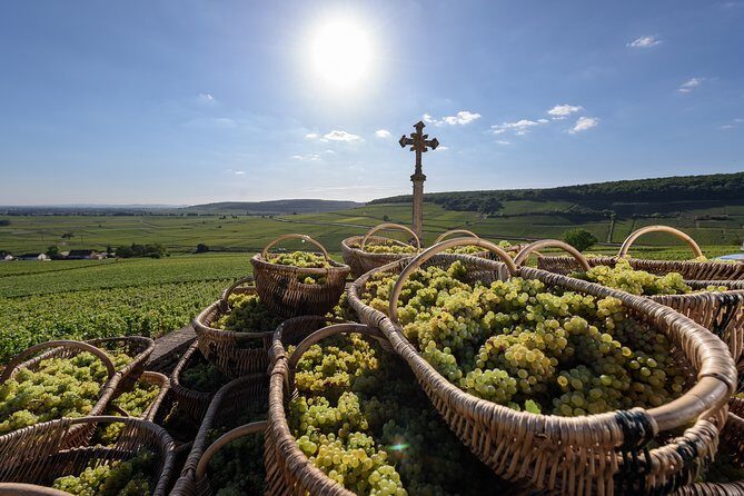 Private excursion to Côte de Beaune and Côte de Nuits (full day) - Discover Burgundy’s Wine Treasures: A Private Full-Day Tour of Côte de Beaune & Côte de Nuits