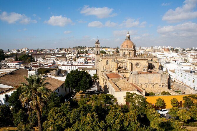 Private excursion to Jerez de la Frontera with Equestrian Show from Cadiz - Final Thoughts
