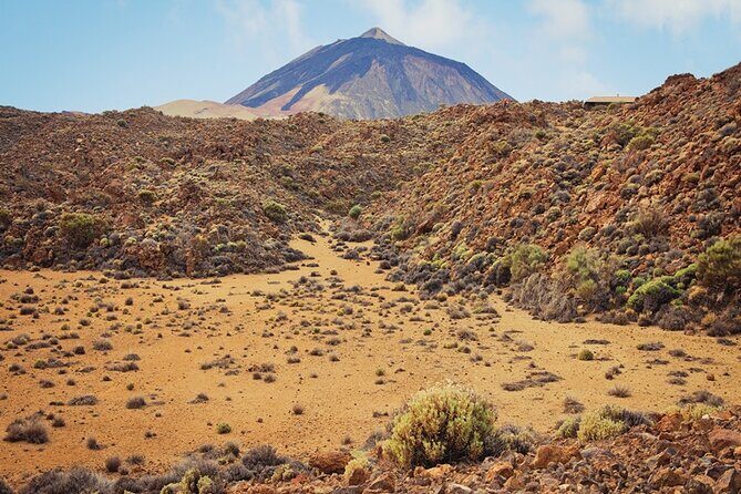 Private excursion to Teide National Park - Who Should Consider This Tour?