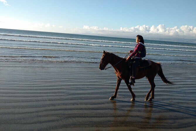 Private excursion to the bufadora and horseback riding on the beach - FAQs
