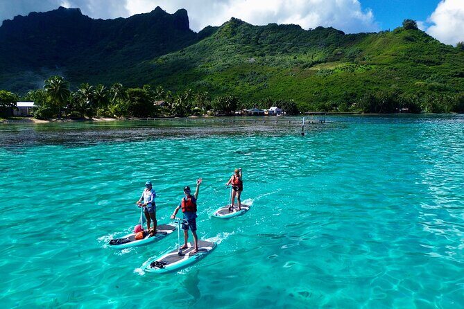 Private Excursion with E-Board in Moorea with snorkeling - Key Points