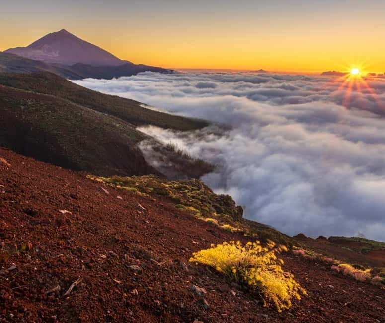 Private excursions for cruise-ship passengers - Final Thoughts