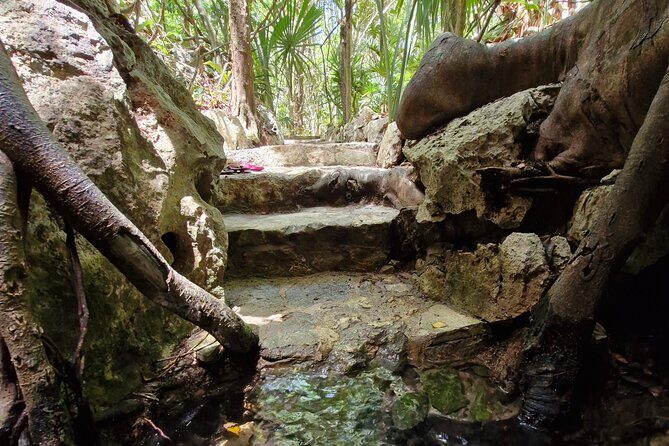 Private experience 5 cenotes at Riviera Maya - Final Thoughts on the Riviera Maya Cenote Tour