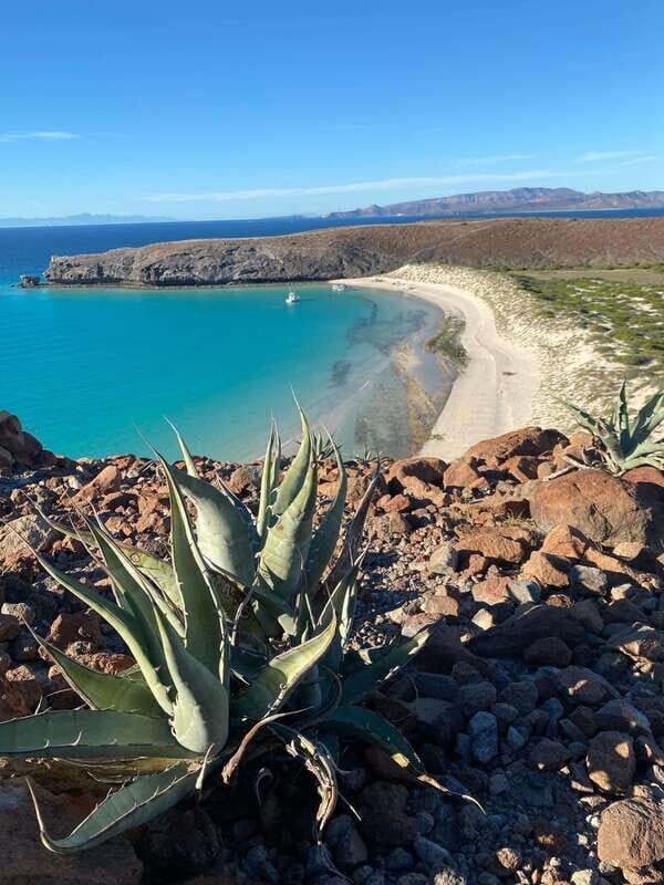 Private experience from Los Cabos to La Paz: (Balandra) - Why Travelers Love This Tour