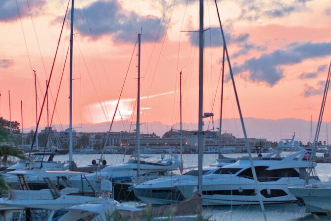 Private Experience Painting and Gastronomy in Denia Sea Sunset - FAQ