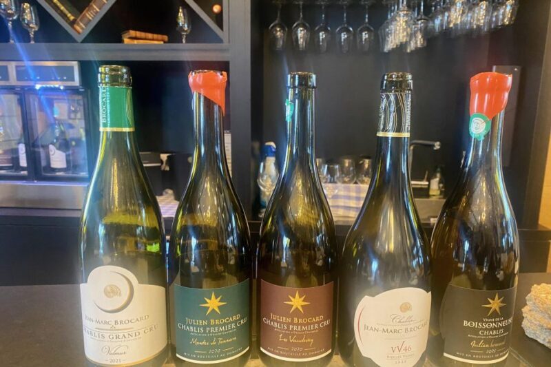 Private Exquisite Red & White Burgundy Wines Trip from Paris - Is It Worth the Price?