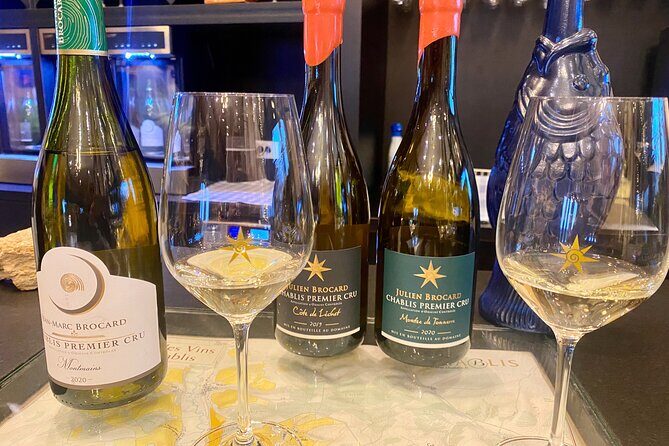 Private Exquisite Red & White Burgundy Wines Trip from Paris - Key Points