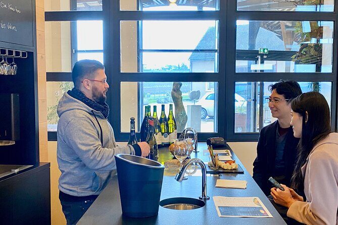 Private Exquisite Red & White Burgundy Wines Trip from Paris - Who Should Consider This Tour?