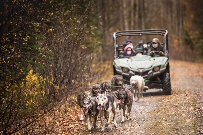 Private Fall Foliage Mushing Cart Ride in Fairbanks - Who Should Consider This Tour?