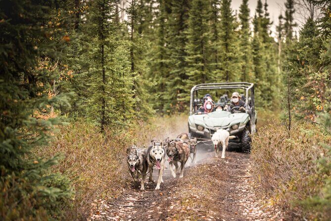Private Fall Foliage Mushing Cart Ride in Fairbanks - FAQs