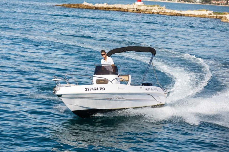 Private Family Dolphin Tour in Pore - The Itinerary Breakdown