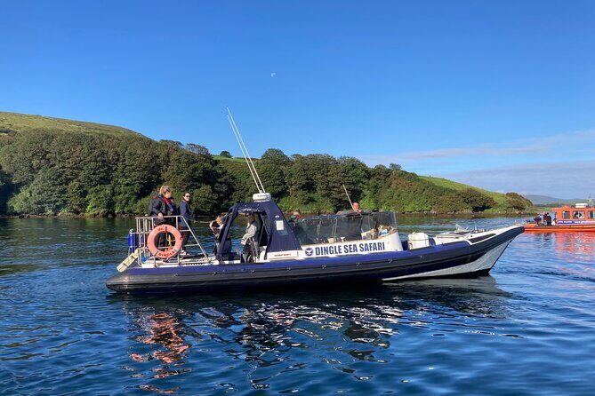 Private family sea safari - Key Points