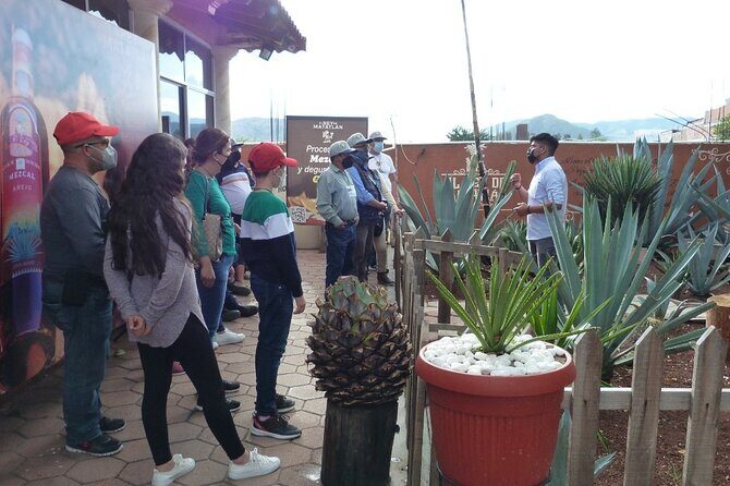 Private Family Tour visitng Mitla, Mezcal Factory, HIerve el Agua - Fourth Stop: Hierve el Agua