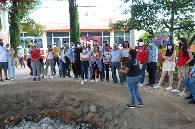 Private Family Tour visitng Mitla, Mezcal Factory, HIerve el Agua - Final Stop: Mezcal Factory in Matatlán