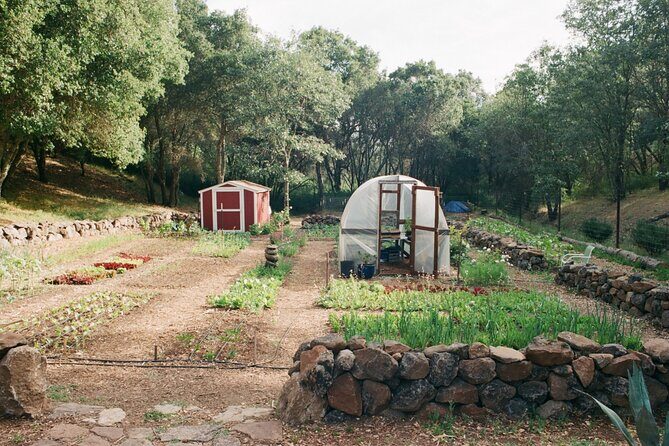 Private Farm Workshop in Napa Valley - What is this tour all about?