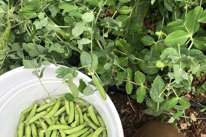 Private Farm Workshop in Napa Valley - The Sum Up: Is this the right experience for you?