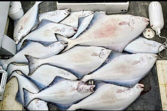 Private Fishing Adventure in Icy Strait Hoonah Alaska - The Value of the Price Tag