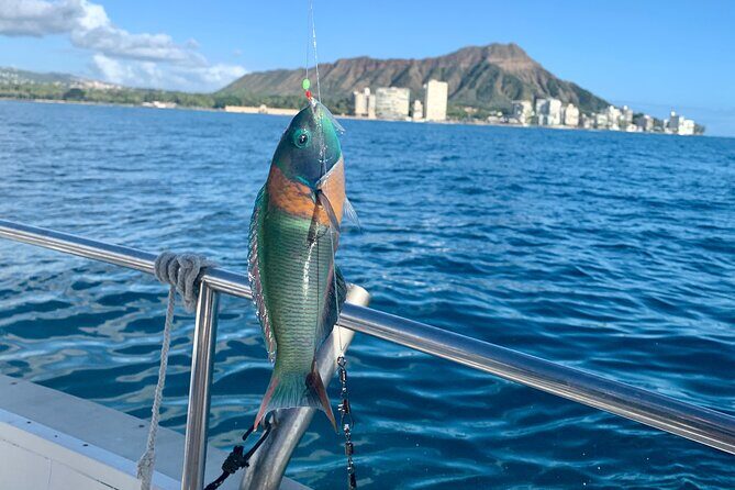 Private Fishing Charter for Family and Friends in Honolulu - An Honest Look at the Experience