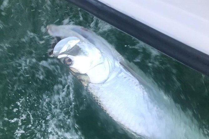 Private Fishing Charter from Ramrod Key - The Sum Up
