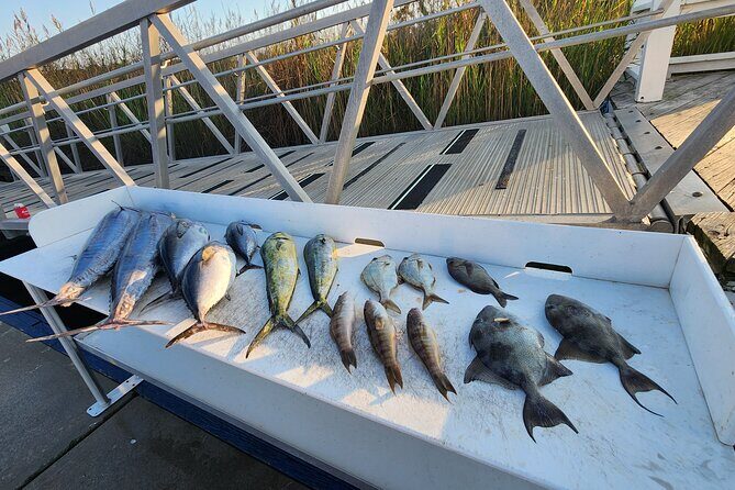 Private Fishing Charter in North Myrtle Beach - Key Points