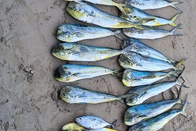 Private Fishing Experience in Guayabitos - Who Should Consider This Tour?