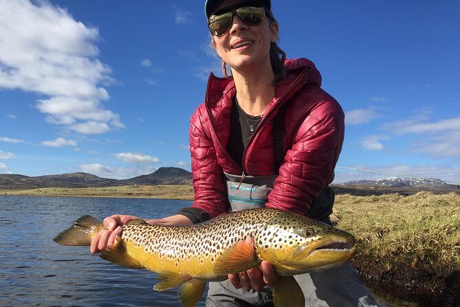 Private Fishing Tour from Reykjavik - Arctic Char and Brown Trout - Summary of the Tour’s Strengths and Considerations