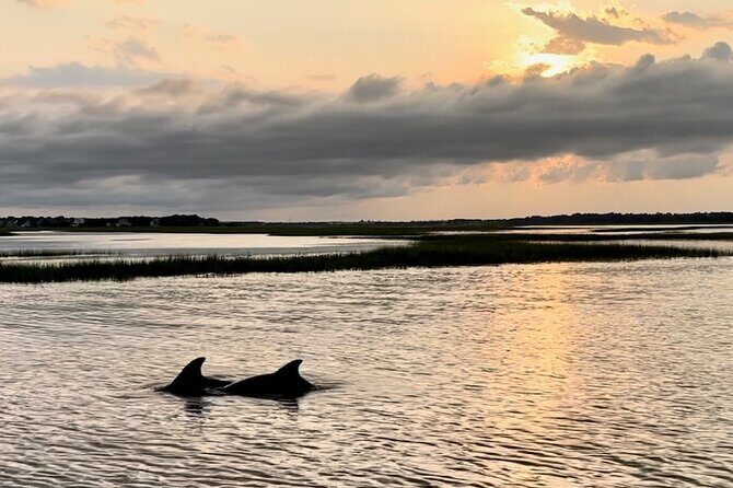 Private Folly River Sunset Dolphin Cruise - Exploring the Private Folly River Sunset Dolphin Cruise: An Honest Look