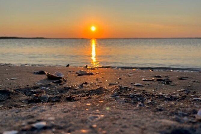 Private Folly River Sunset Dolphin Cruise - FAQs: Practical Questions Answered