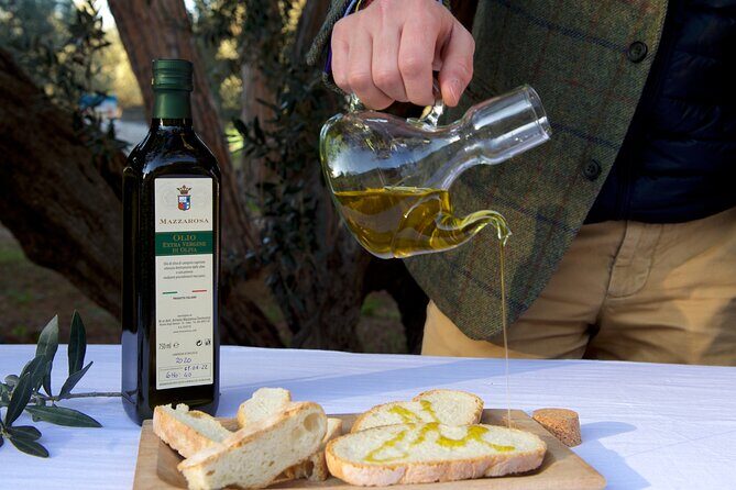 Private Food and Wine Tour in the Cellar with Tastings - Tasting: Five Wines, Local Flavors, and a Snack