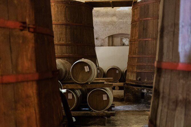 Private Food and Wine Tour in the Cellar with Tastings - Final Thoughts: Who Is This Tour Best For?