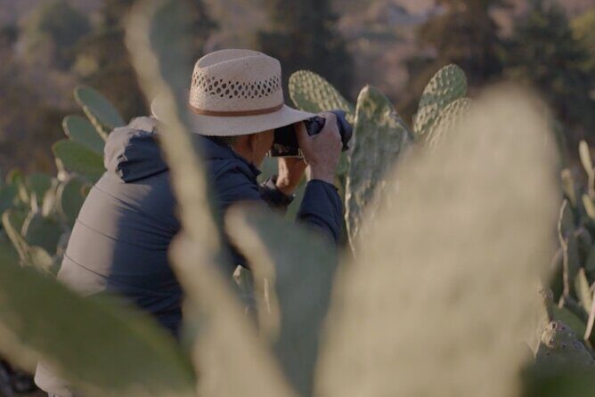 Private Food Tasting and Filmmaking Tour in Mexico City - Key Points