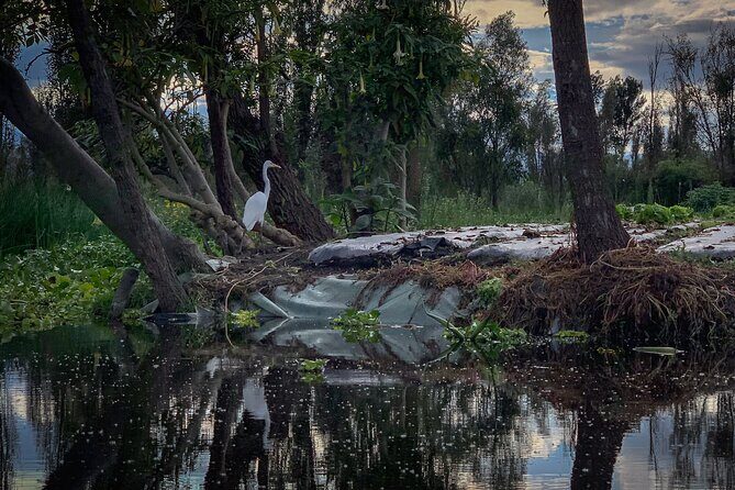 Private Food Tasting and Filmmaking Tour in Mexico City - Who Should Consider This Tour?