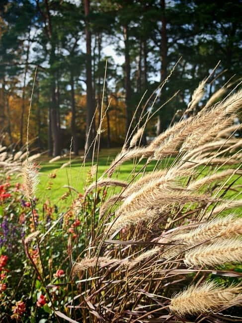 Private Forest Mind Tour in Tampere - The Details of the Forest Mind Tour in Tampere