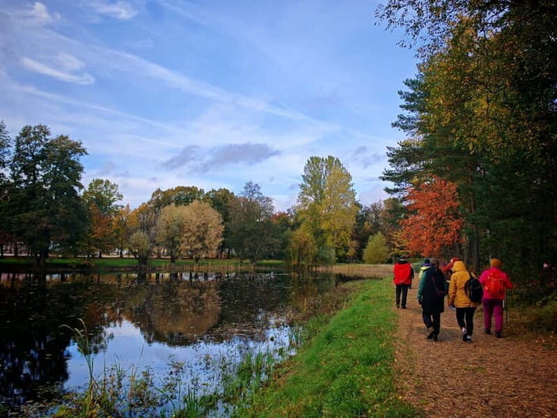 Private Forest Mind Tour in Tampere - Is It Worth It?