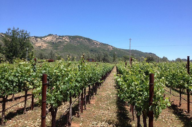 Private Fredericksburg Winery Transfer - FAQ